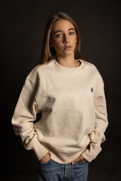 Sweater Jumper logo SHIELD