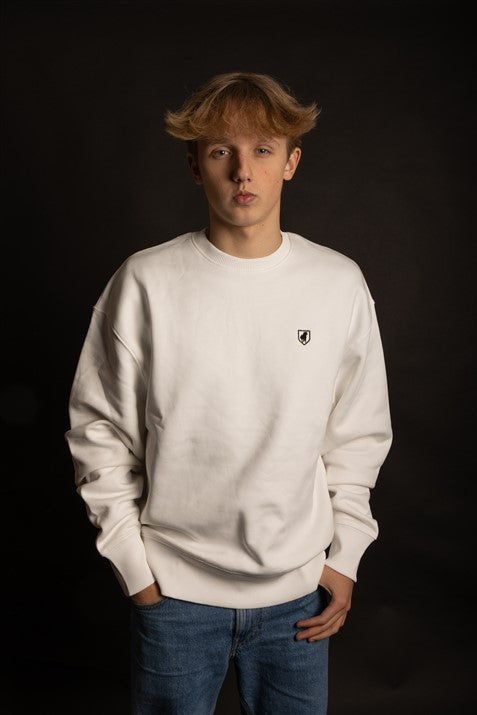 Sweater Jumper logo SHIELD