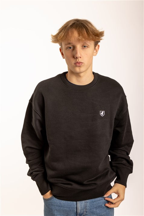 Sweater Jumper logo SHIELD